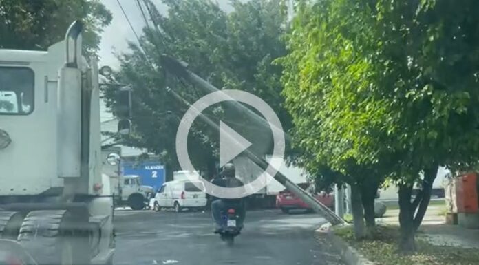 [Video] Postes del tendido eléctrico a punto de caer en Santa Tecla