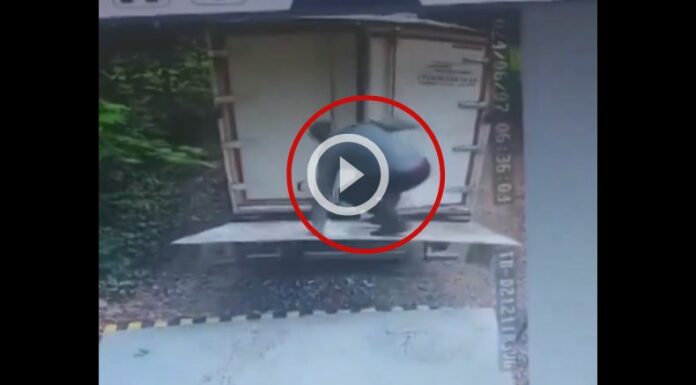 Hombre muere aplastado