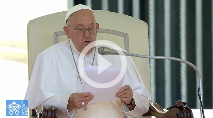 Papa recomienda que las homilías 