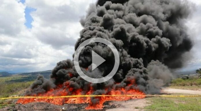 Honduras: Incineran más de 5.6 toneladas de droga