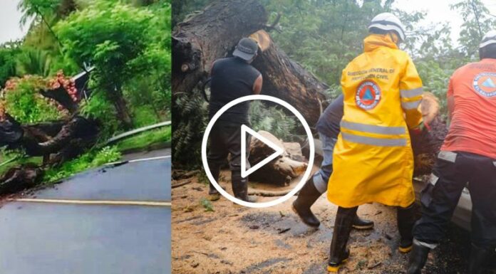 Estragos por lluvias | 17 de junio