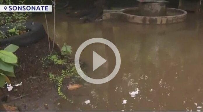 [Video] Inundaciones persisten en Metalío, Sonsonate