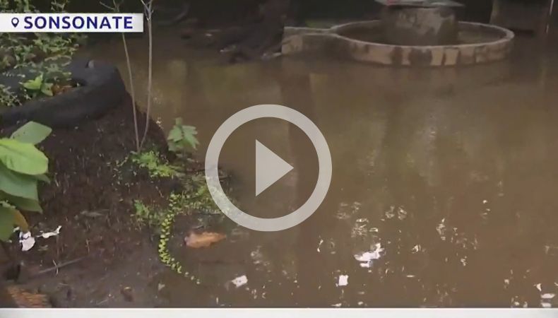 [Video] Inundaciones persisten en Metalío, Sonsonate