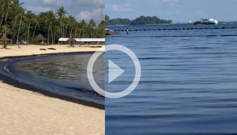 [Video] Derrame de petróleo afecta playas de Singapur
