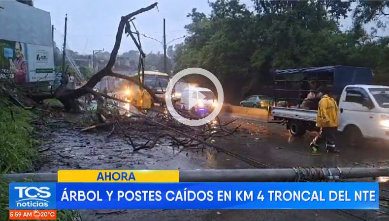 Ahora Caída de un árbol y poste del tendido eléctrico en la Troncal del Norte Troncal del Norte