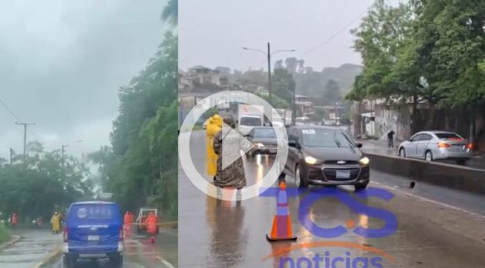 Ahora | Reporte del tráfico: 20 de junio