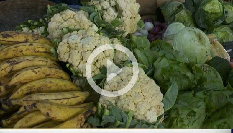 ¿Cómo proteger sus alimentos de las bacterias en época lluviosa?