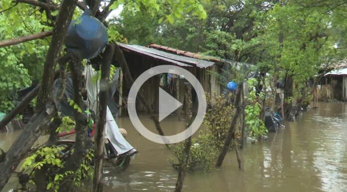 [Video] Viviendas en Garita Palmera bajo agua