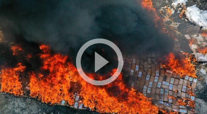 Destruyen droga incautada recientemente a ecuatorianos