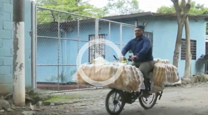 ¡Joven logra graduarse de abogado trabajando por mucho tiempo como panadero!