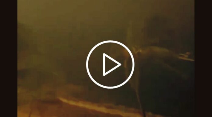 Ingreso de huracán Beryl a Barbados