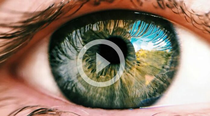 ¿El estrés puede causar daños a la salud visual?