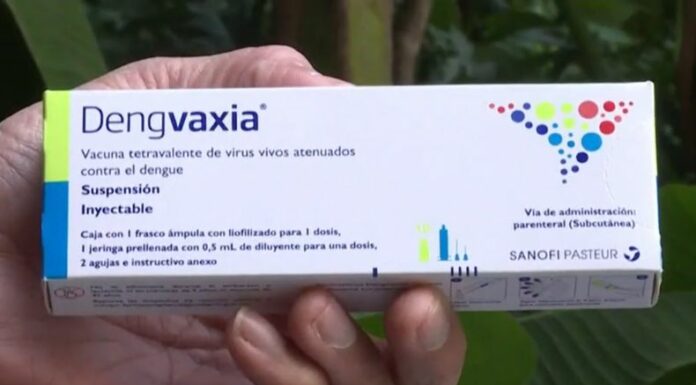 ¿Cuáles son las vacunas que sirven para prevenir el dengue?