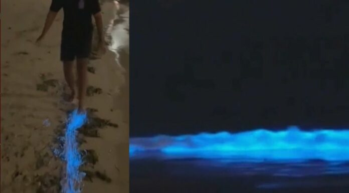 [Video] Laguna en Oxaca tiene un impresionante espectáculo