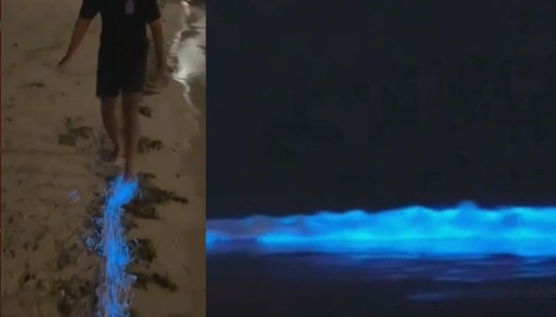 [Video] Laguna en Oxaca tiene un impresionante espectáculo