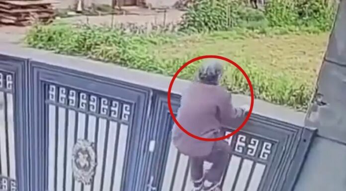 Anciana escapa de un asilo