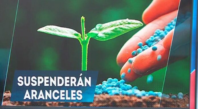 Presidente Bukele eliminará aranceles de insumos agrícolas y alimento para animales