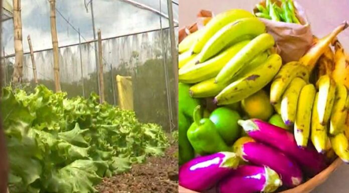 Canasta Campesina tiene productos alimenticos a bajo costo