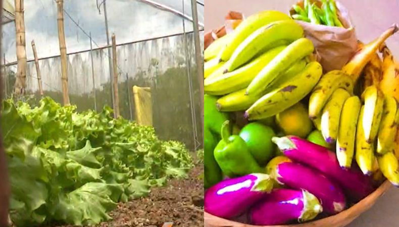 Canasta Campesina tiene productos alimenticos a bajo costo