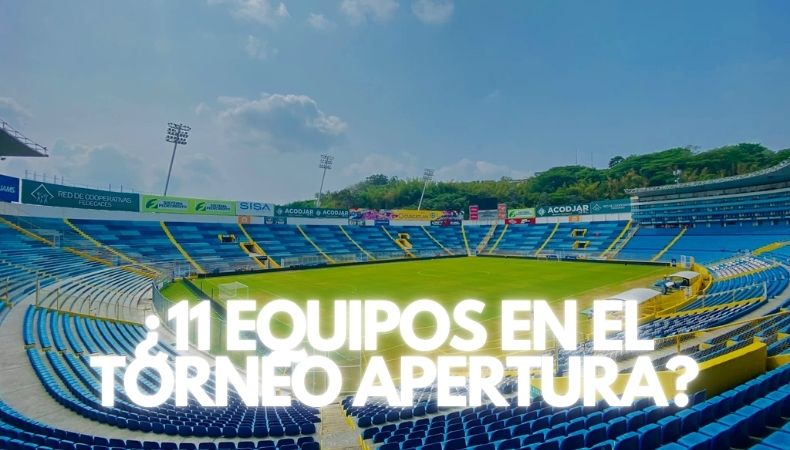 FESFUT otorgó 11 Licencias Domésticas