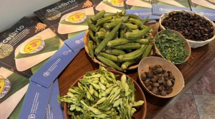 Lanzan recetario con especies resilientes al cambio climático