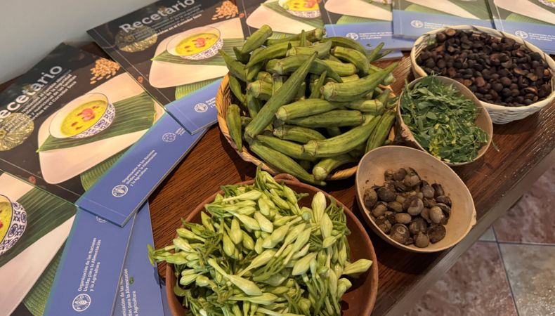 Lanzan recetario con especies resilientes al cambio climático