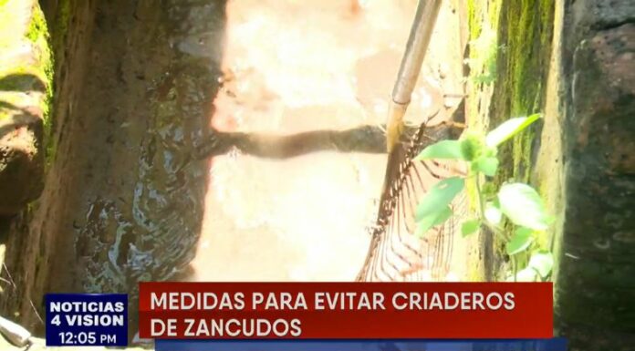 Comunidades en el Puerto de La Libertad buscan prevenir el dengue