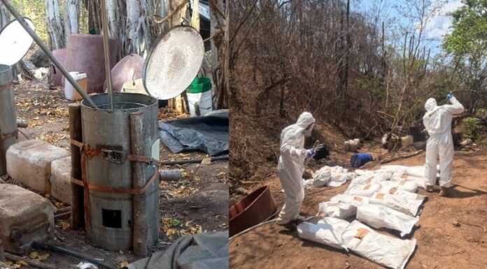 Destruyen varios laboratorios clandestinos de droga sintética en México
