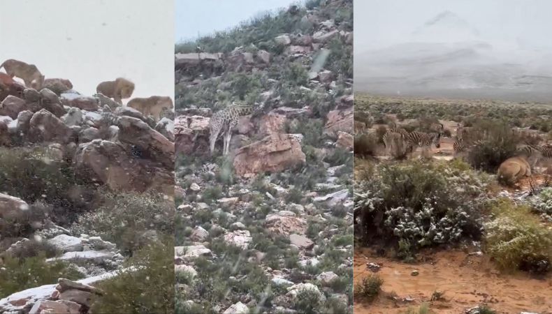 [Video] ¡Sorprendentes caídas de nieve en el sur de África!