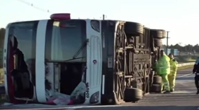 Argentina: Bus vuelca y deja varios heridos de gravedad
