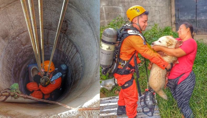 Bomberos rescata a una perrita en Santa Ana