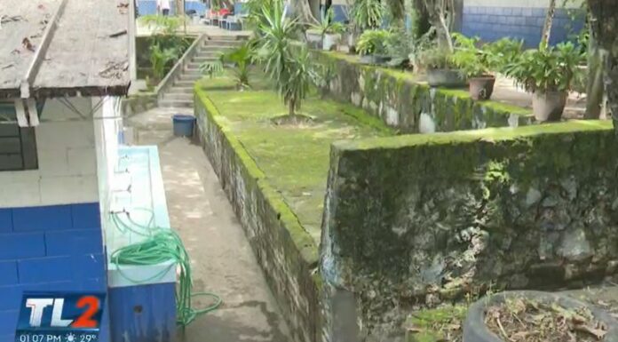 Colegios Privados asegura ausencia de estudiantes por dengue