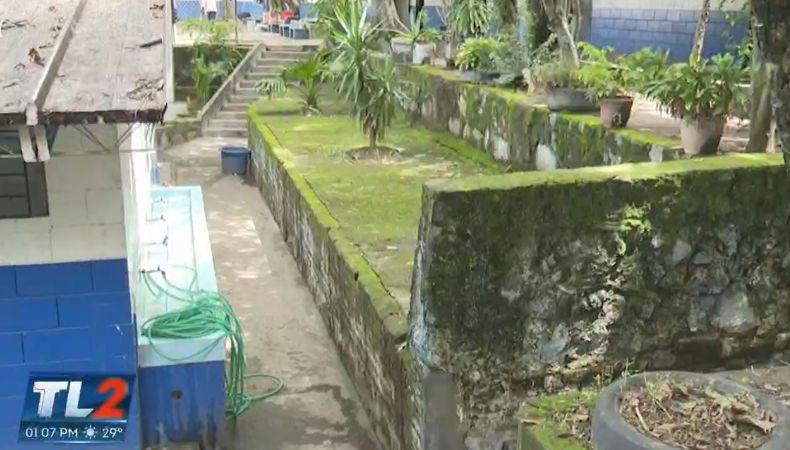 Colegios Privados asegura ausencia de estudiantes por dengue