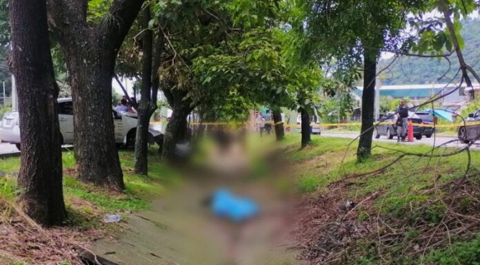 Accidentes de tránsito