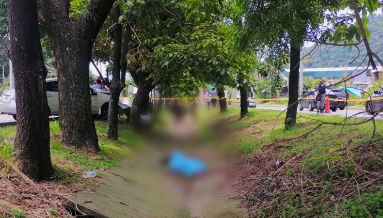 Accidentes de tránsito