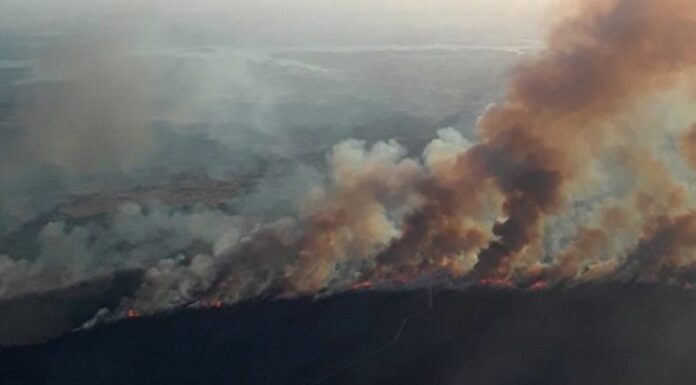Incendios forestales en España dejan huella devastadora