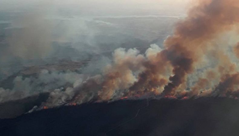 Incendios forestales en España dejan huella devastadora