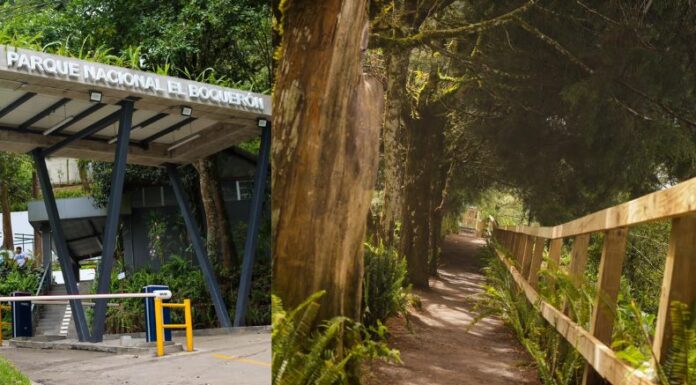 Las vacaciones no paran en el Parque Nacional El Boquerón, muchos salvadoreños que aún descansan han visitado el lugar natural este día.