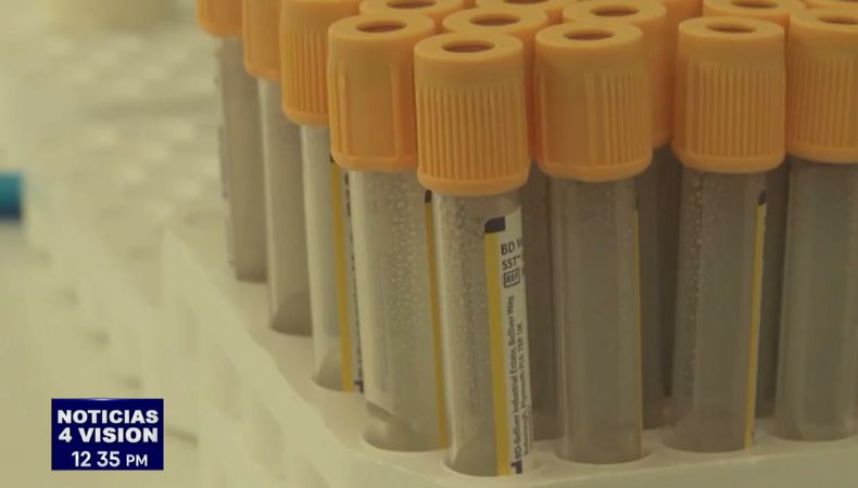 Las autoridades Sanitarias de Estados Unidos mantienen un especial monitoreo en el aumento de casos de muertes por el virus del Nilo.