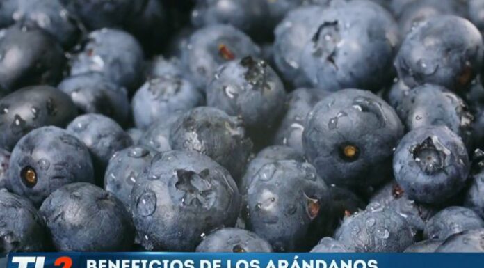 Los arándanos son un superalimento que contienen múltiples beneficios para tener una alimentación saludable.