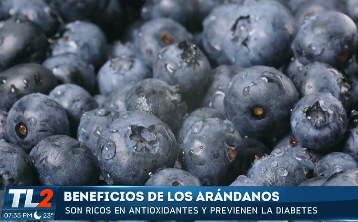 Los arándanos son un superalimento que contienen múltiples beneficios para tener una alimentación saludable.