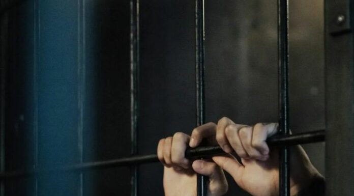 La Policía Nacional Civil (PNC) detuvo a dos hombres, a quienes se les acusa por el delito de tráfico ilícito de drogas.