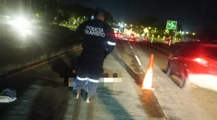 Una persona falleció atropellada en el km 38 de la carretera Panamericana, San Juan Opico, La Libertad, así lo informó la PNC.