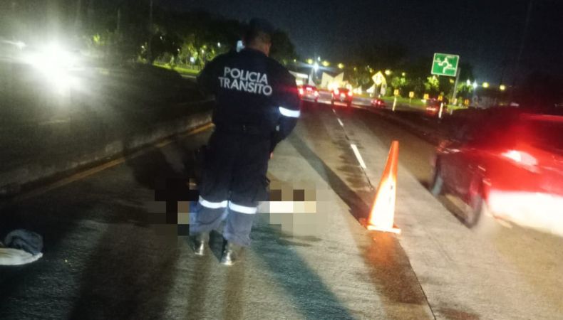 Una persona falleció atropellada en el km 38 de la carretera Panamericana, San Juan Opico, La Libertad, así lo informó la PNC.