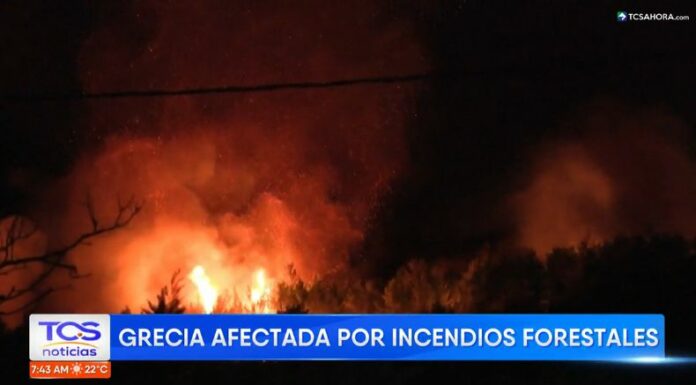 Al menos cinco localidades de Grecia han sido evacuadas debido a incendios forestales que amenazan por su rápida propagación.