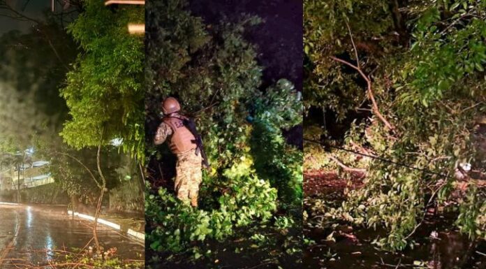 Tras las intensas lluvias registradas en las últimas horas, han generado estragos en distintos puntos del territorio nacional.