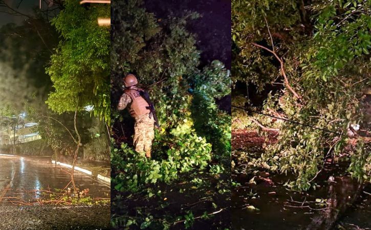 Tras las intensas lluvias registradas en las últimas horas, han generado estragos en distintos puntos del territorio nacional.