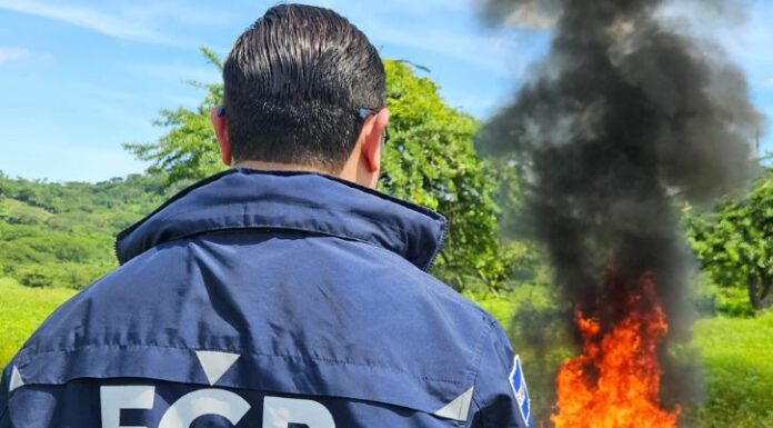 La FGR participo en destrucción de sustancias ilícitas, fueron decomisadas entre el 2018 y 2023 en diferentes operativos.