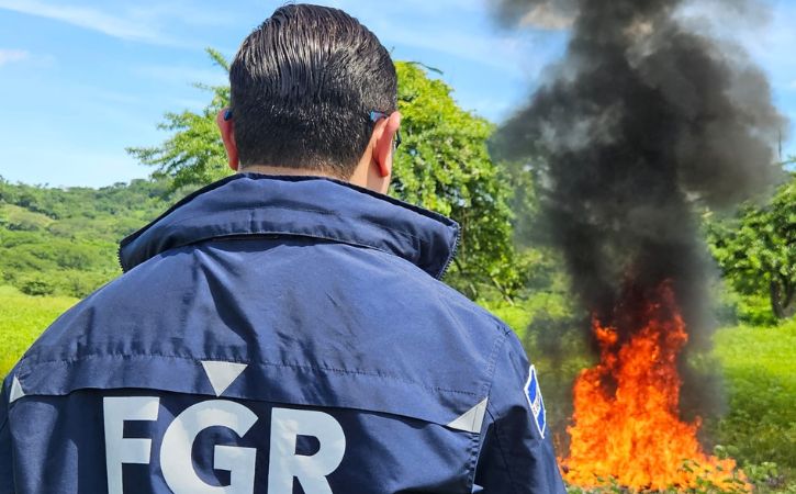 La FGR participo en destrucción de sustancias ilícitas, fueron decomisadas entre el 2018 y 2023 en diferentes operativos.