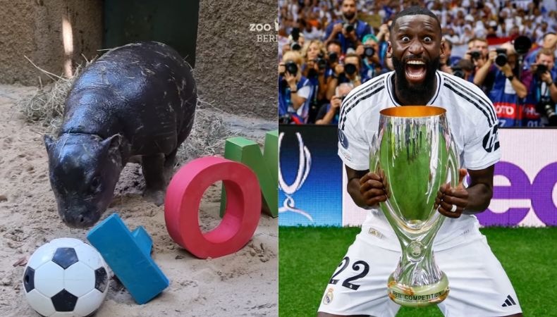 El Zoológico de Berlín nombró a una cría en honor a su patrocinador, el futbolista del Real Madrid Antonio Rüdiger.